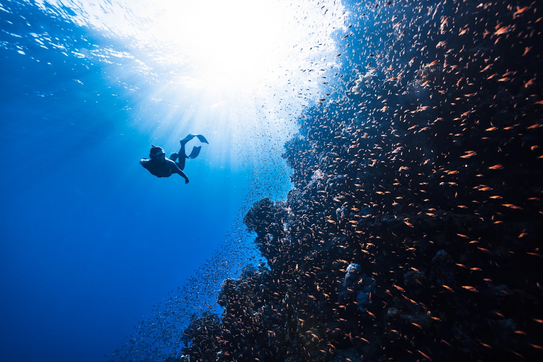 Unraveling the Mysteries of Budget Travel: An Adventurer’s Guide